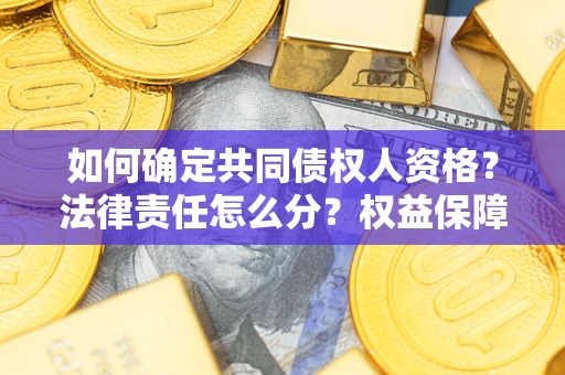 北京如何确定共同债权人资格？法律责任怎么分？权益保障技巧揭秘！