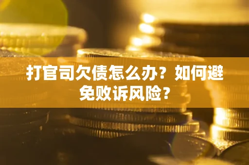 北京打官司欠债怎么办？如何避免败诉风险？