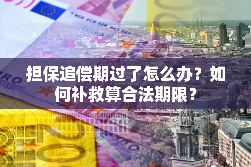 北京担保追偿期过了怎么办？如何补救算合法期限？